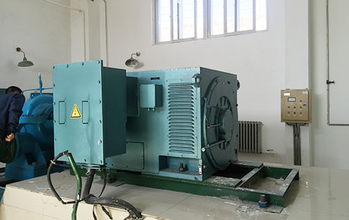 Y500-4某水电站工程主水泵使用我公司高压电机生产厂家
